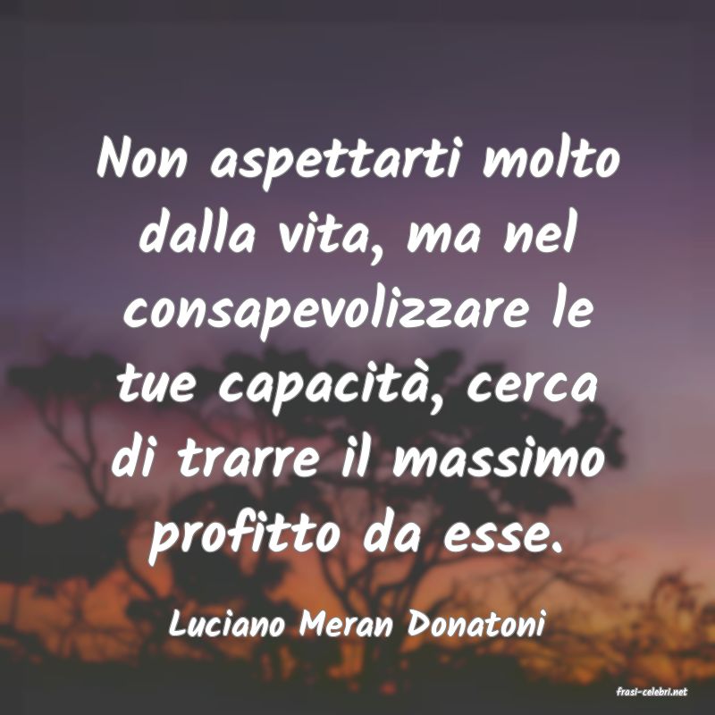 frasi di  Luciano Meran Donatoni

