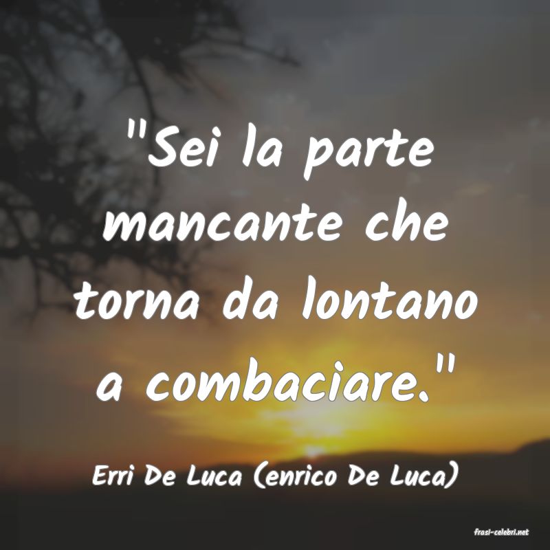 frasi di  Erri De Luca (enrico De Luca)
