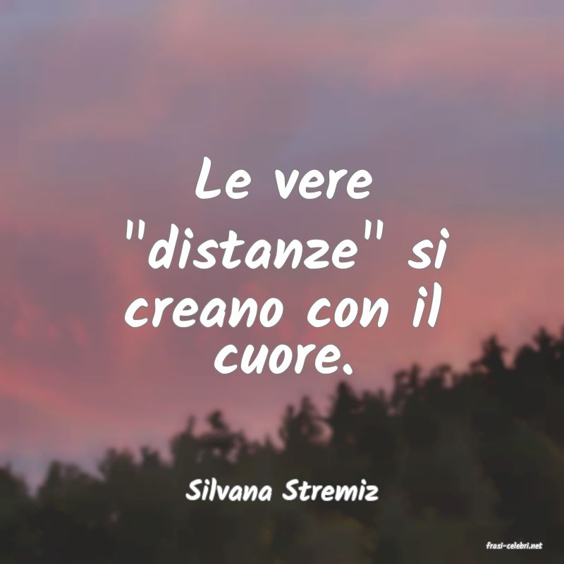 frasi di  Silvana Stremiz

