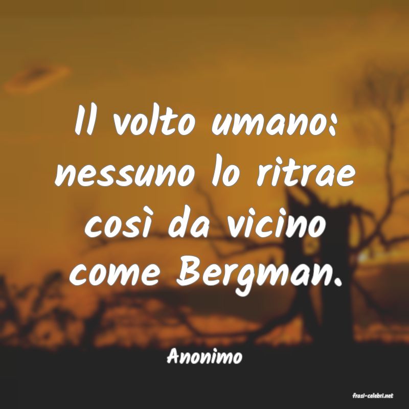 frasi di  Anonimo

