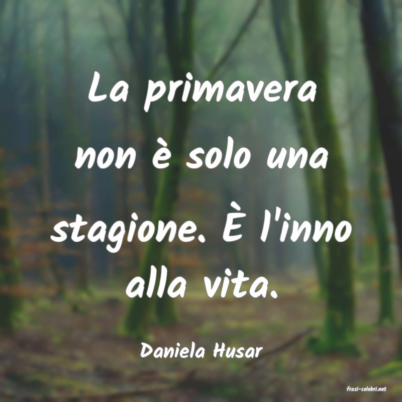 frasi di  Daniela Husar

