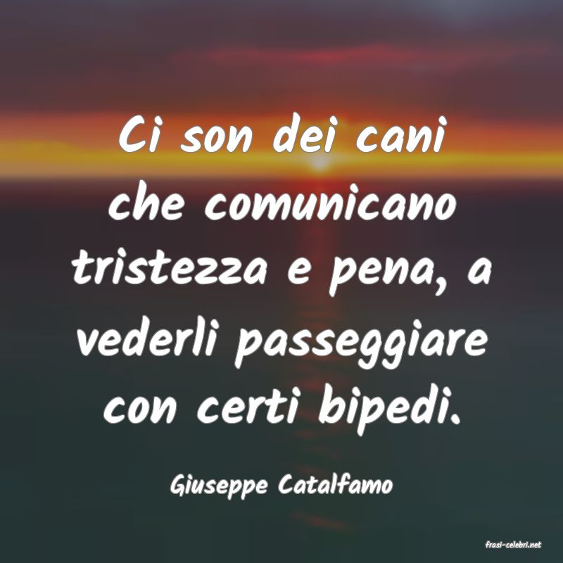 frasi di  Giuseppe Catalfamo
