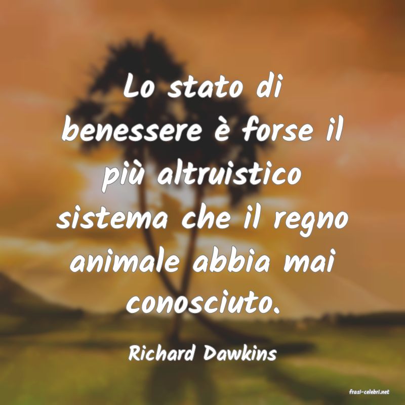 frasi di  Richard Dawkins
