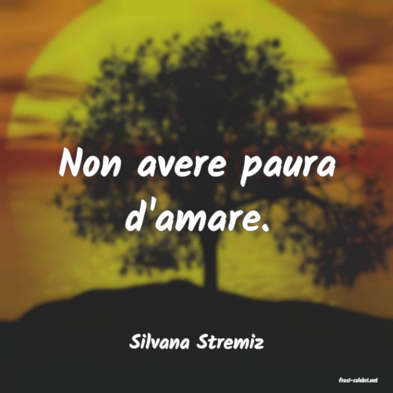 frasi di  Silvana Stremiz
