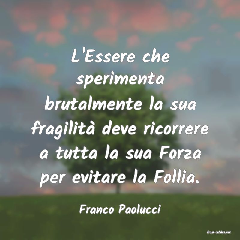 frasi di Franco Paolucci