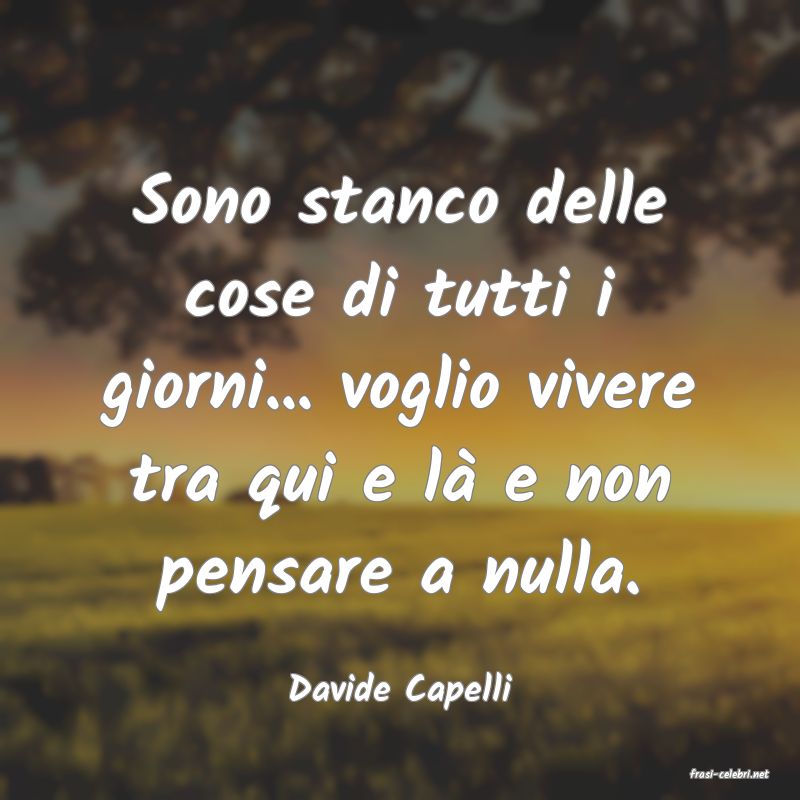frasi di  Davide Capelli
