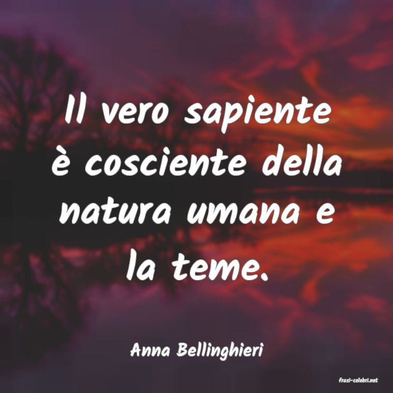 frasi di Anna Bellinghieri