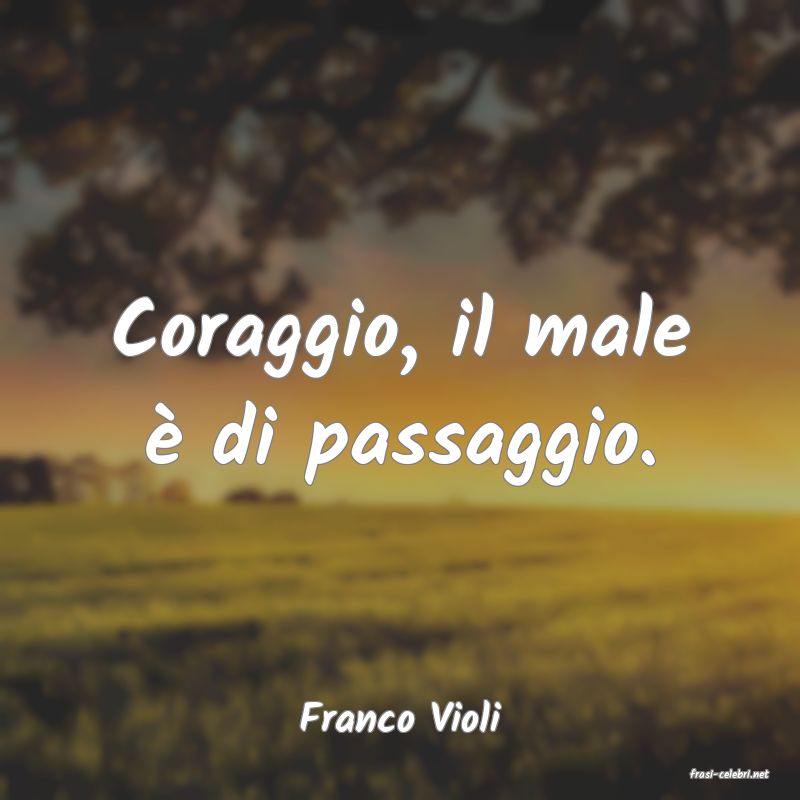 frasi di Franco Violi