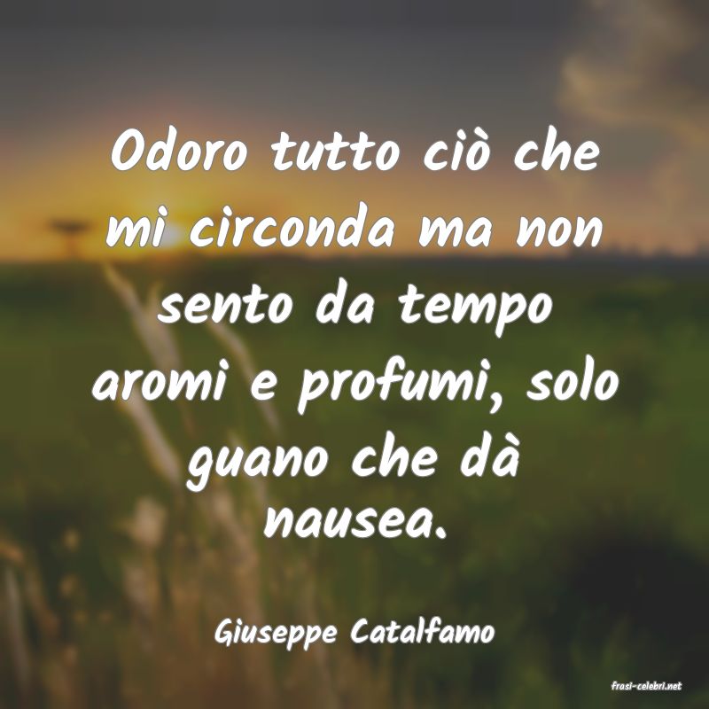 frasi di Giuseppe Catalfamo