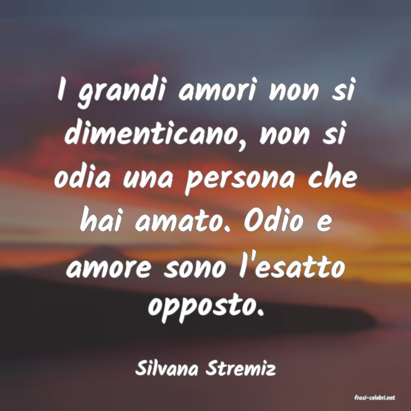 frasi di Silvana Stremiz