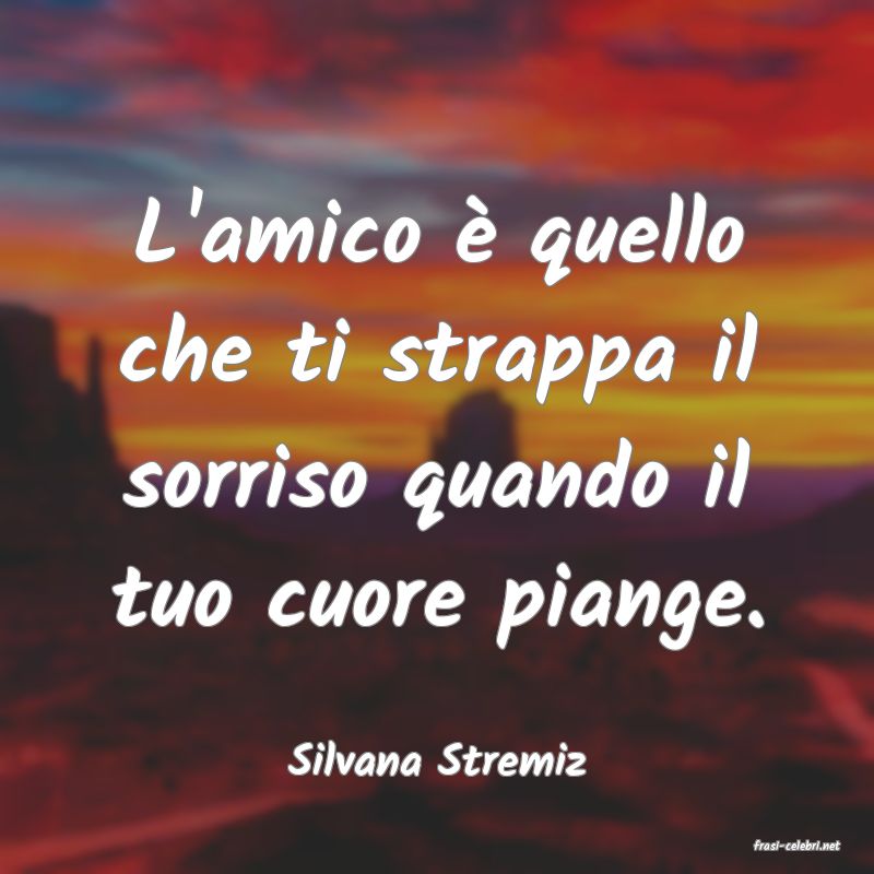 frasi di  Silvana Stremiz
