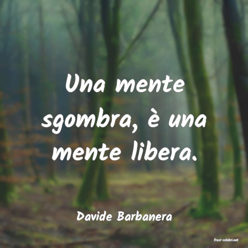 frasi di  Davide Barbanera
