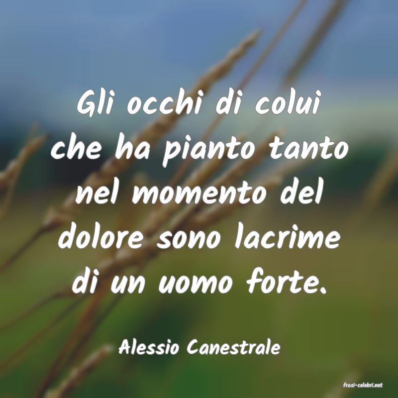 frasi di  Alessio Canestrale
