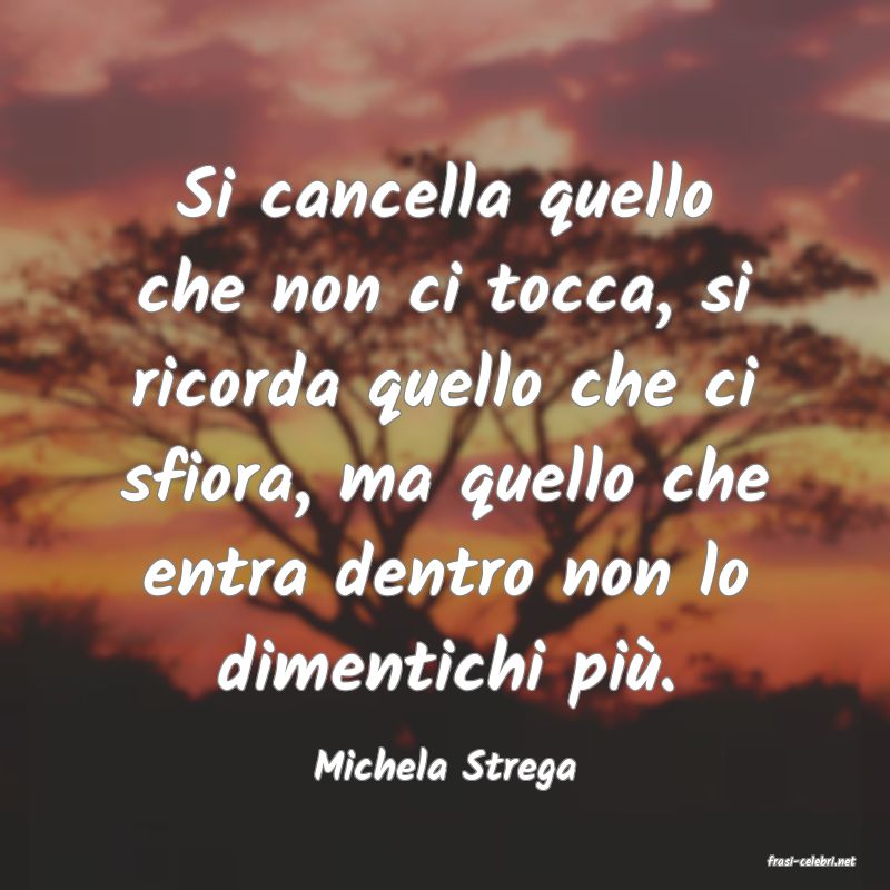 frasi di  Michela Strega
