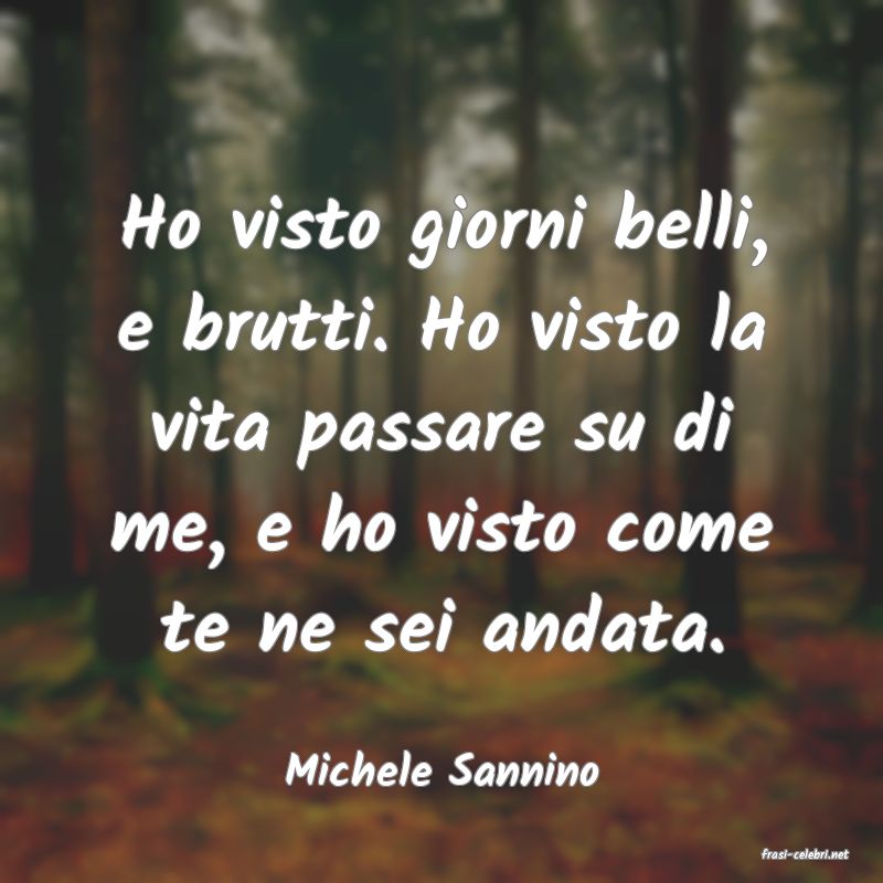 frasi di  Michele Sannino
