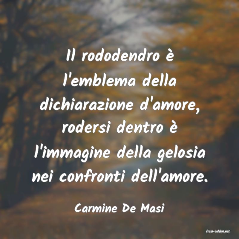 frasi di  Carmine De Masi
