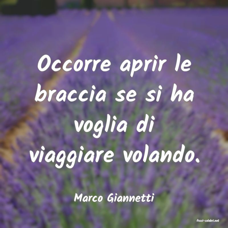 frasi di  Marco Giannetti

