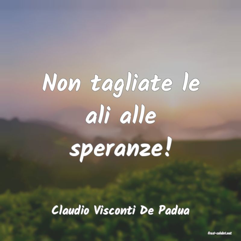 frasi di  Claudio Visconti De Padua
