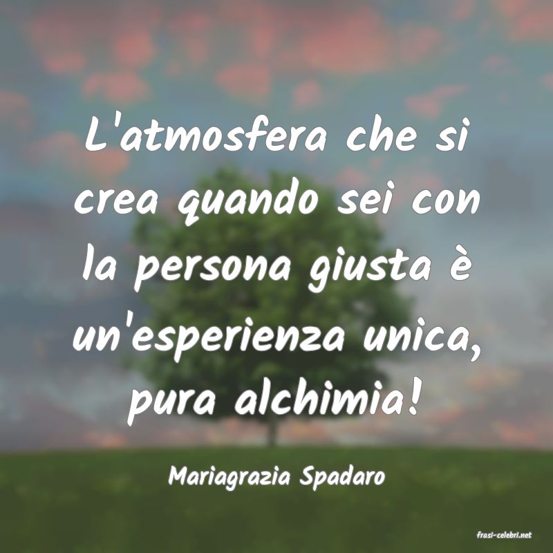 frasi di  Mariagrazia Spadaro
