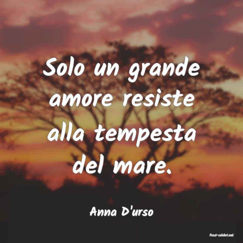 frasi di  Anna D'urso
