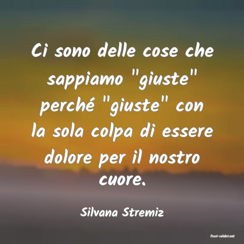 frasi di  Silvana Stremiz
