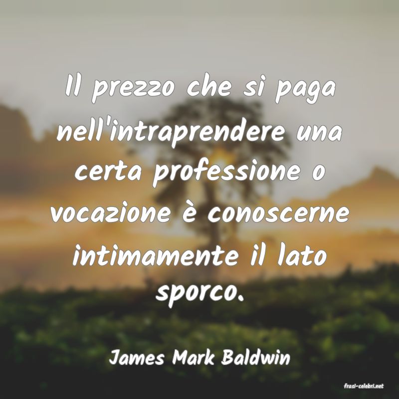 frasi di James Mark Baldwin