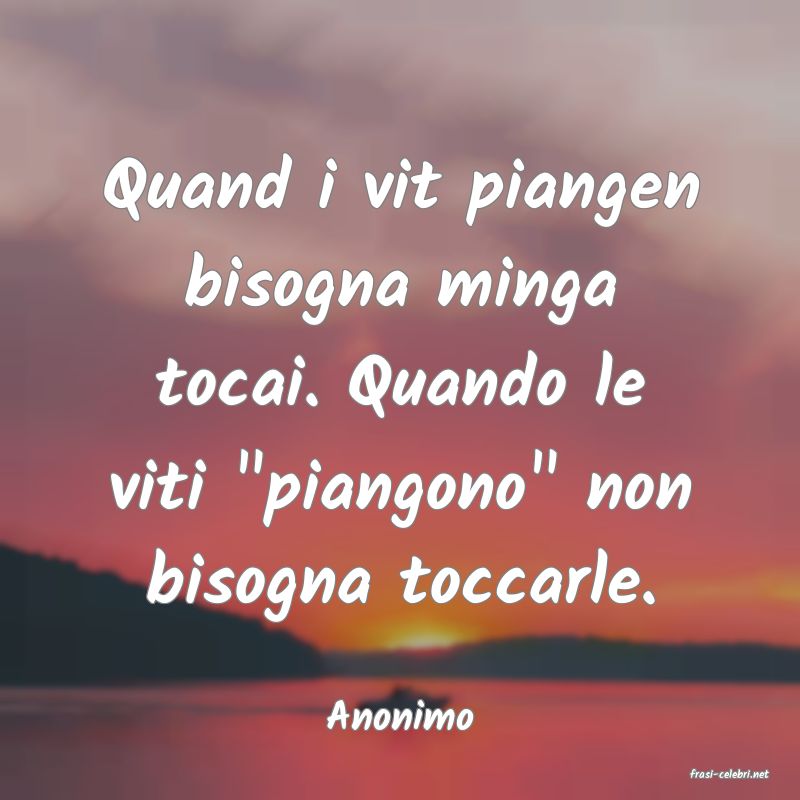 frasi di Anonimo