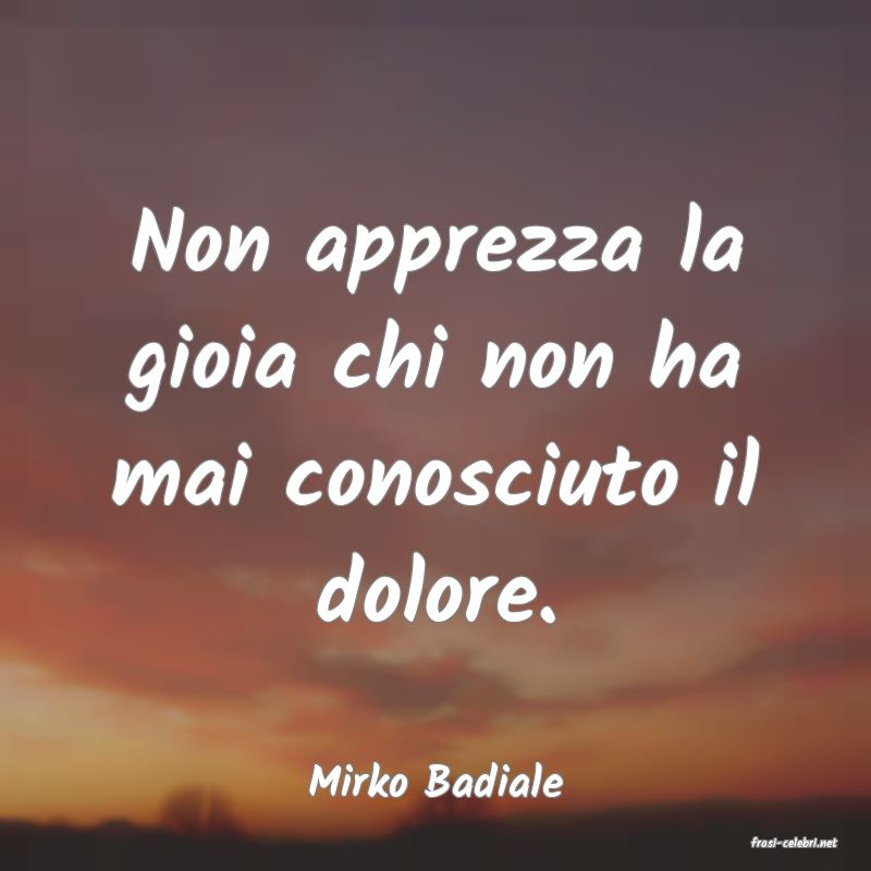 frasi di Mirko Badiale