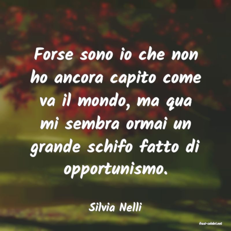 frasi di Silvia Nelli