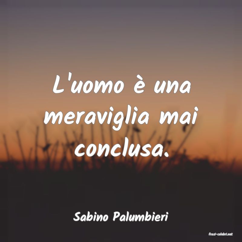 frasi di Sabino Palumbieri