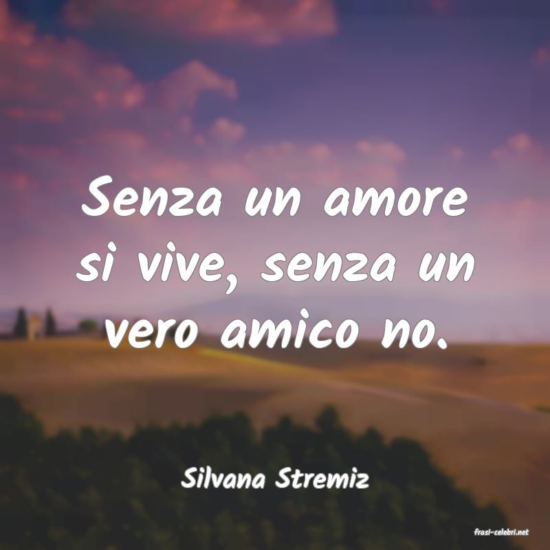 frasi di  Silvana Stremiz

