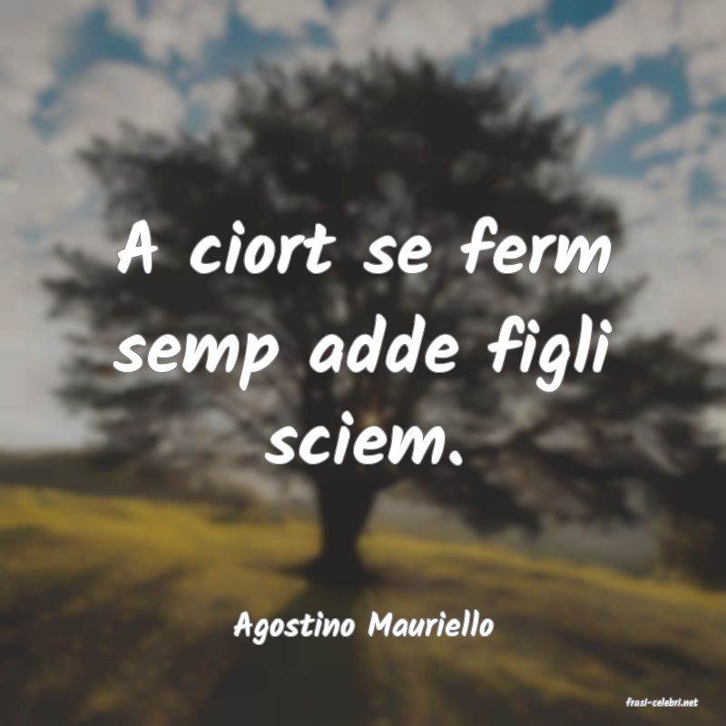 frasi di  Agostino Mauriello
