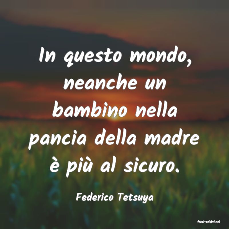 frasi di  Federico Tetsuya

