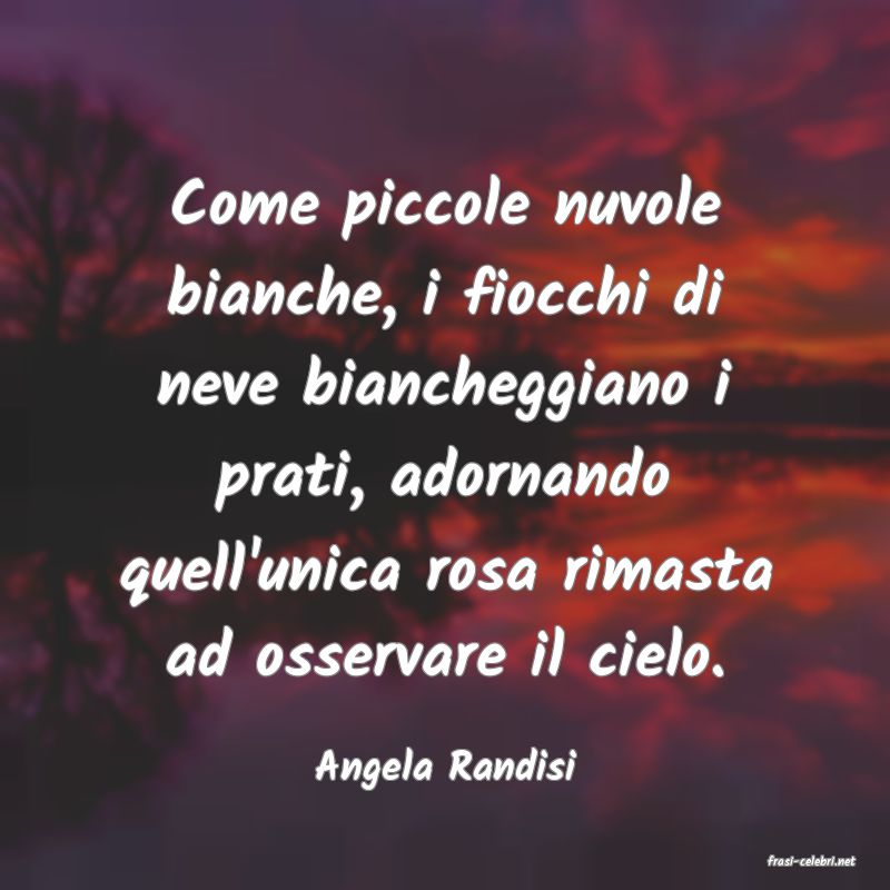 frasi di  Angela Randisi
