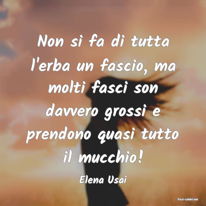 frasi di  Elena Usai
