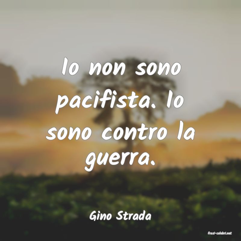frasi di Gino Strada