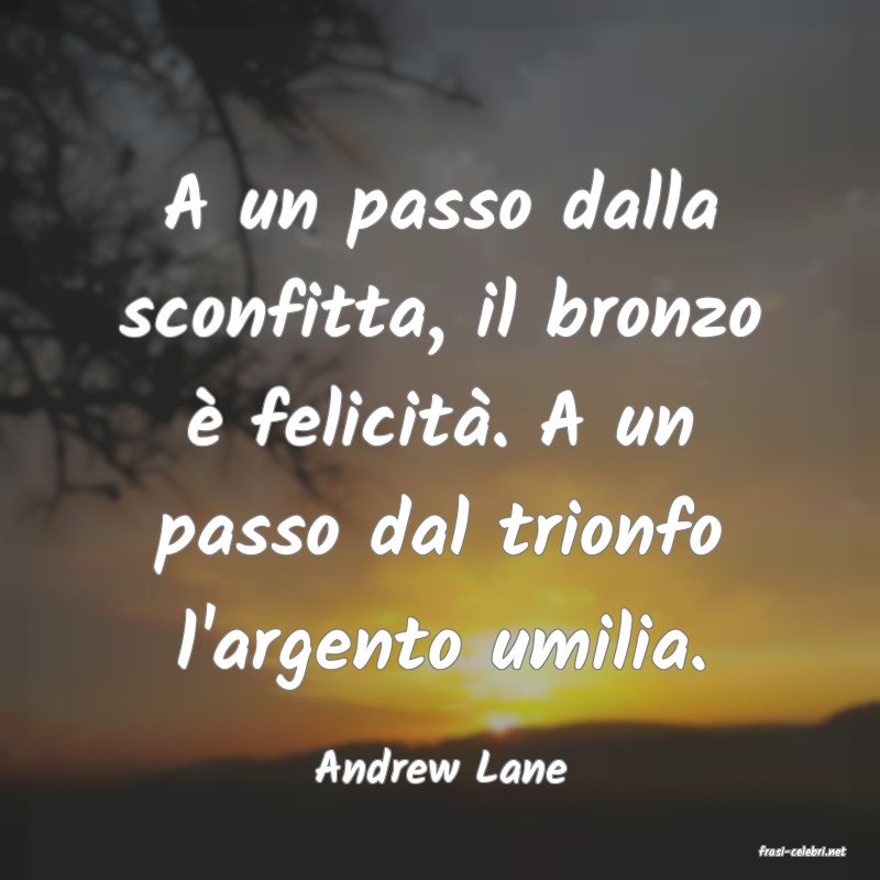 frasi di  Andrew Lane
