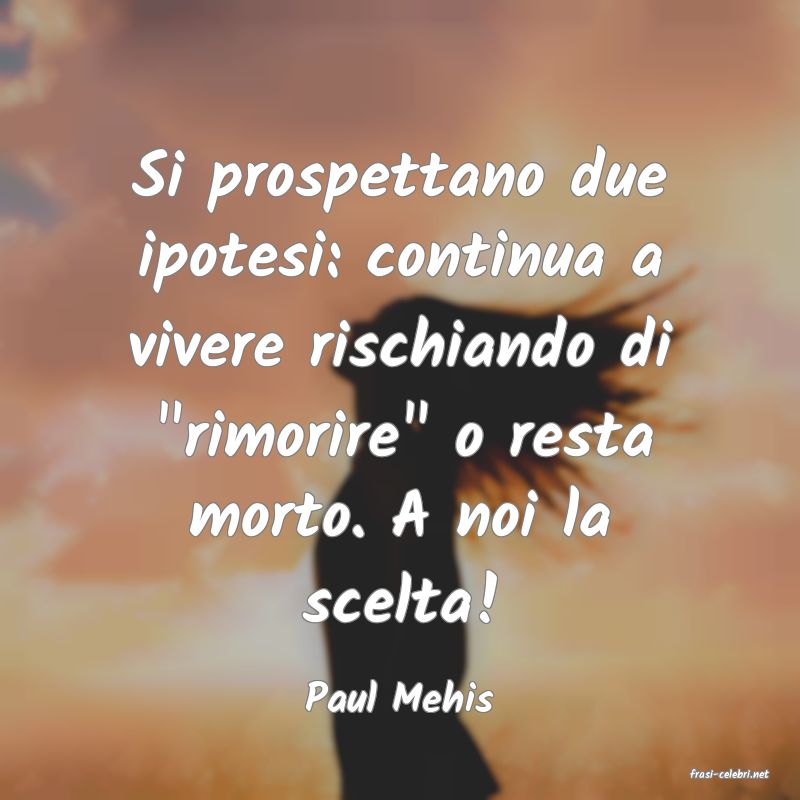frasi di  Paul Mehis
