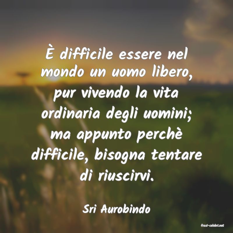 frasi di Sri Aurobindo