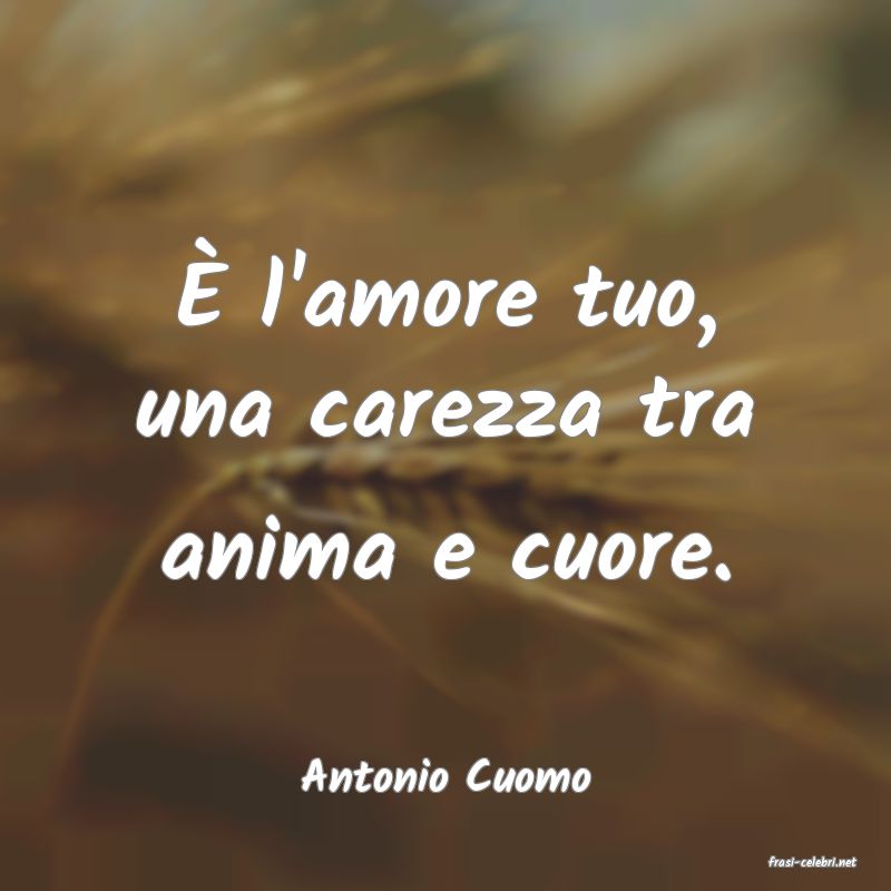 frasi di  Antonio Cuomo
