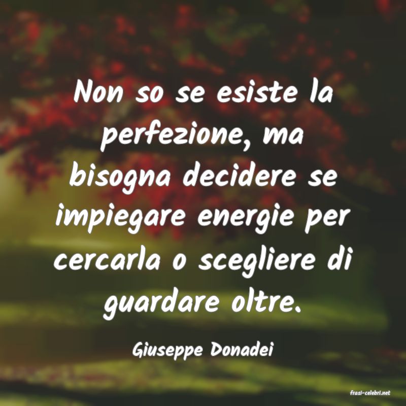 frasi di  Giuseppe Donadei
