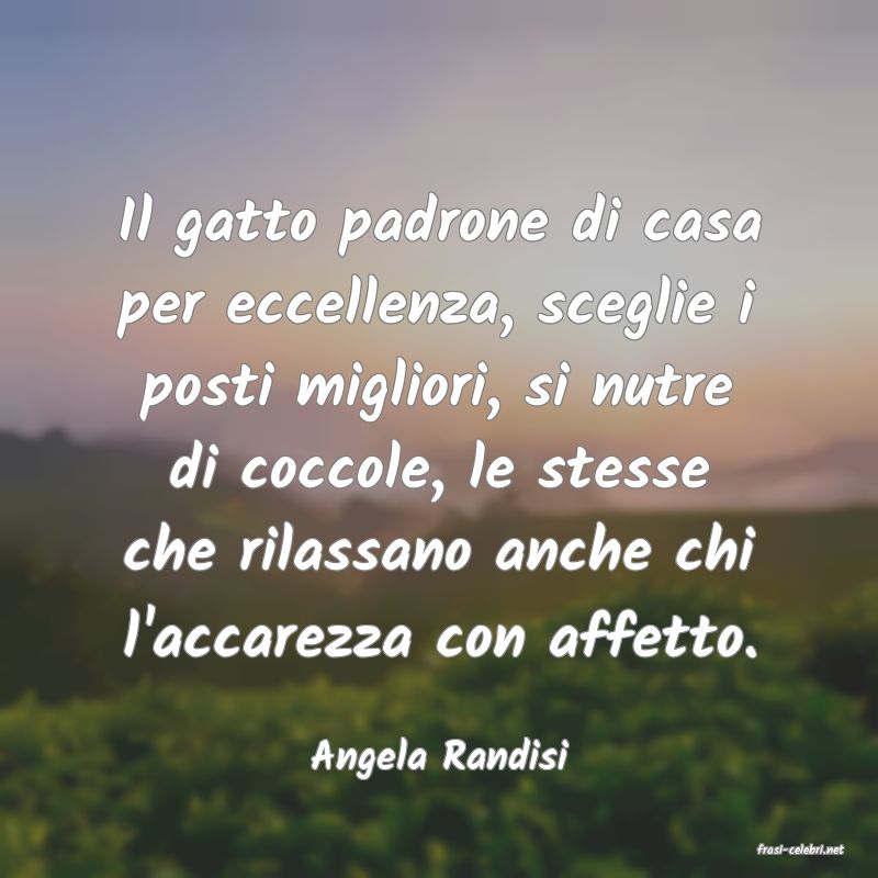 frasi di  Angela Randisi
