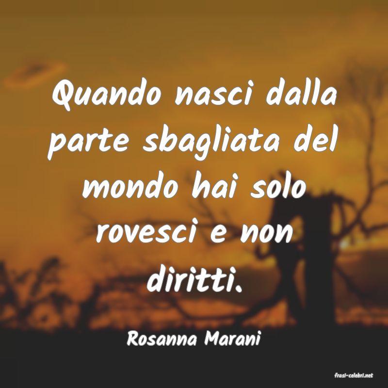 frasi di  Rosanna Marani
