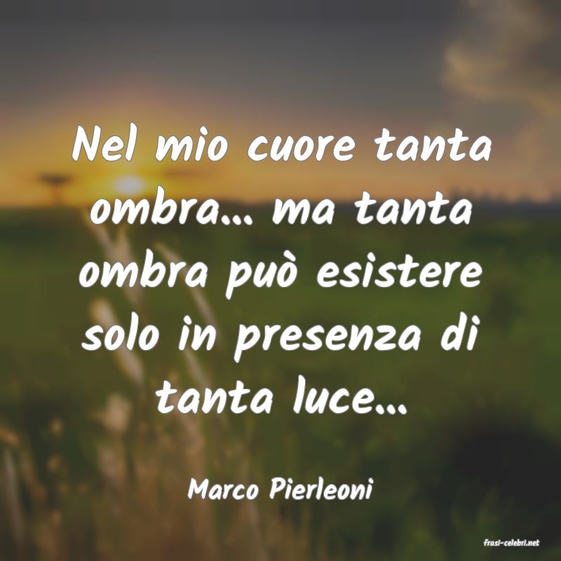 frasi di  Marco Pierleoni
