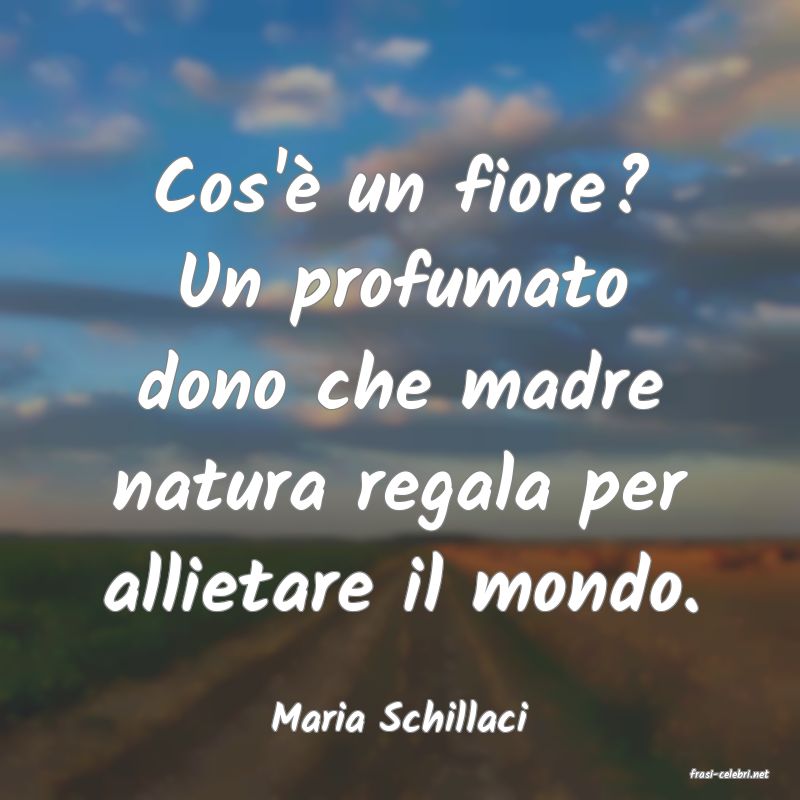 frasi di Maria Schillaci