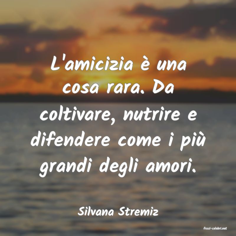frasi di Silvana Stremiz
