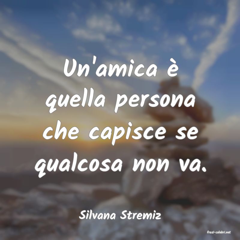 frasi di Silvana Stremiz