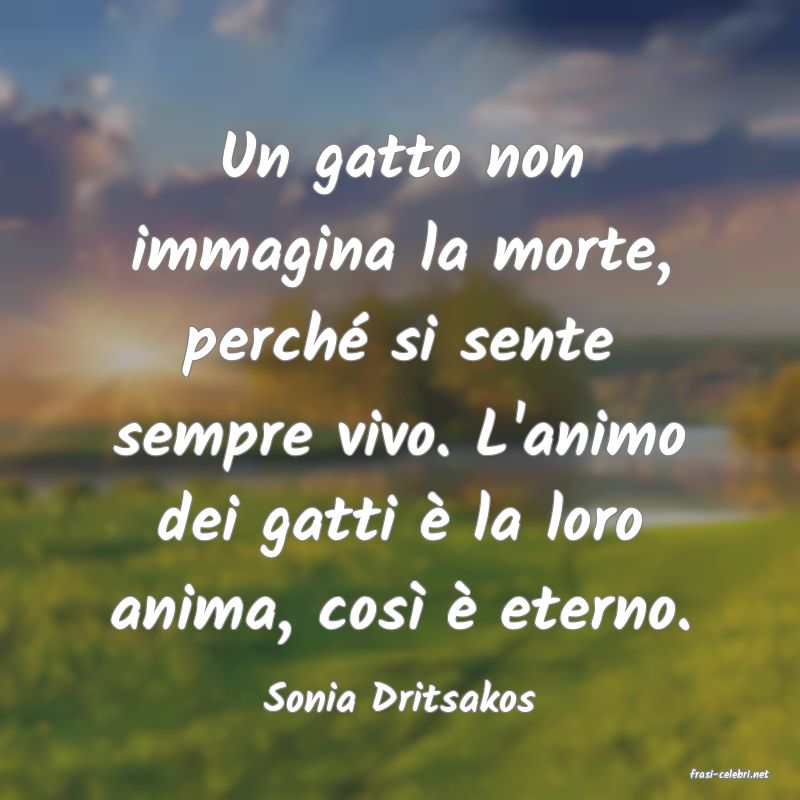 frasi di  Sonia Dritsakos
