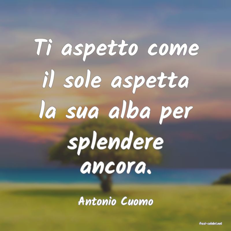 frasi di  Antonio Cuomo
