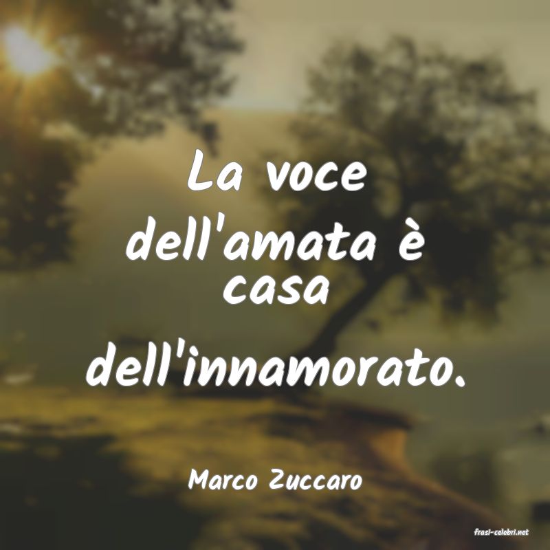 frasi di  Marco Zuccaro
